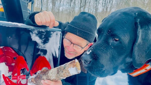 dog, person, and snowblower