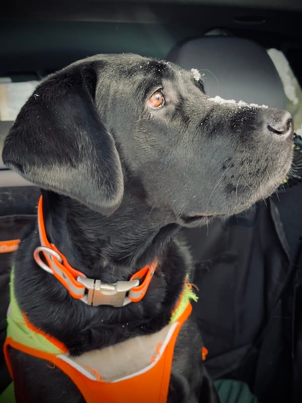 I Made A Giant Magnetic Chalkboard