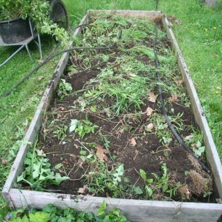 raised vegetable garden bed